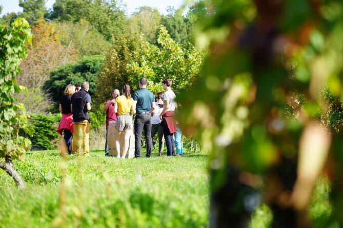 Full Day Wine Tour in Vouvray and Chinon with LUNCH at the winery - Visiting Domaine Le Capitaine and the Rock-Hewn Cellar in Vouvray