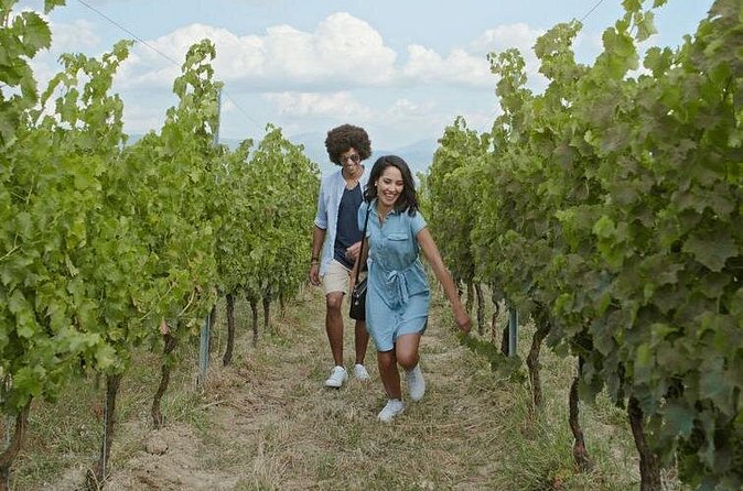 Full-Day Wine, Whiskey & Beer Tour w/ Lunch Pairing - The Guide and Overall Quality