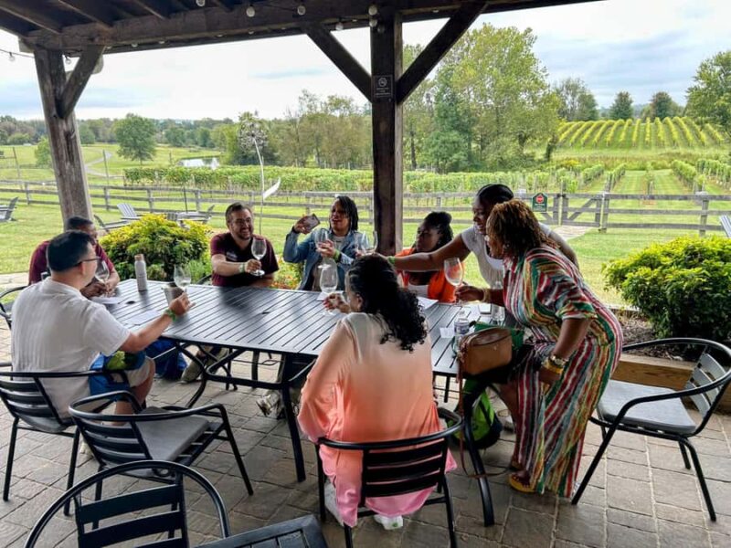 Full Day Winery Tour from Metro DC & Leesburg - 3 Wineries - Experience the Best of Virginia Wine Country with a Full-Day Tour from Metro DC & Leesburg