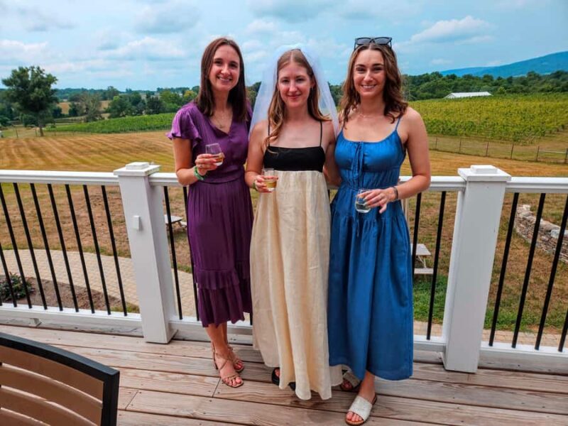 Full Day Winery Tour from Metro DC & Leesburg - 3 Wineries - What Makes the Winery Visits Special