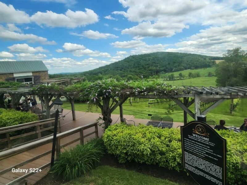 Full Day Winery Tour from Metro DC & Leesburg - 3 Wineries - Practical Details and Tour Restrictions