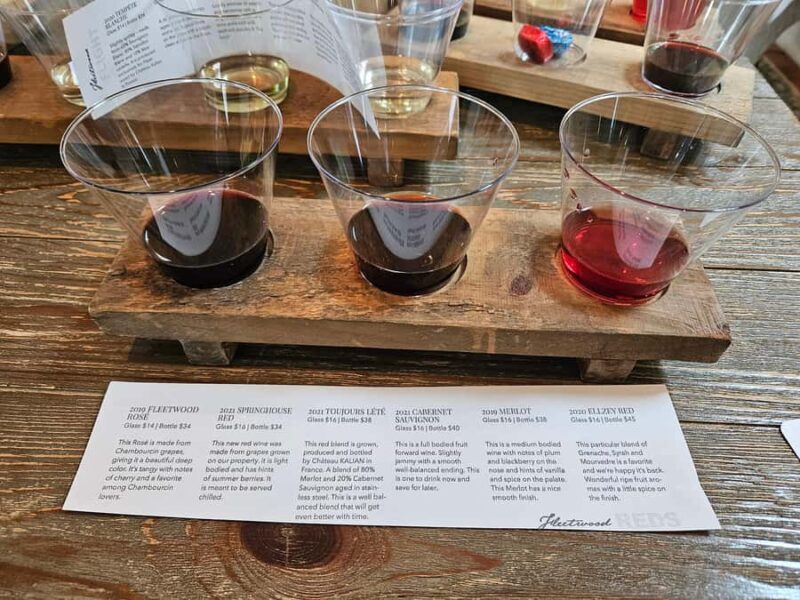 Full Day Winery Tour from Metro DC & Leesburg - 3 Wineries - Summary of Who Would Enjoy This Tour Most