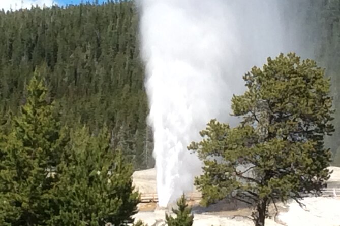 Full Day Yellowstone National Park Tour with Pick up included - A Day of Wildlife and Geothermal Wonders
