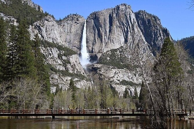 Full Day Yosemite National Park Tour from Oakland - Visiting Yosemite: Highlights of the Park