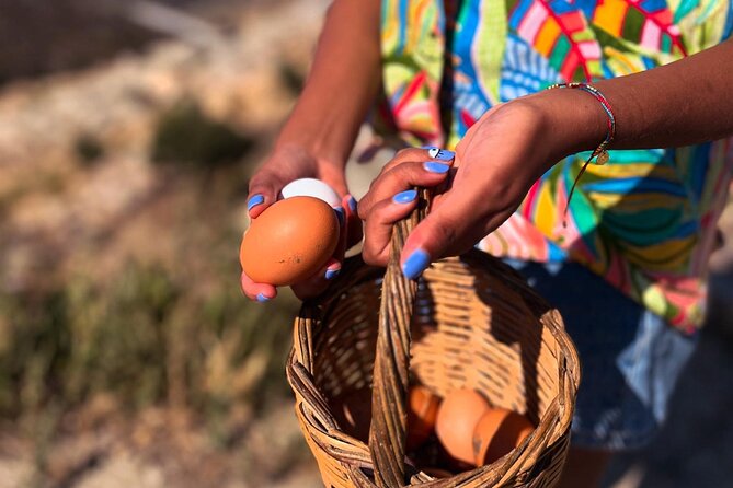 Full Haros Family Cooking Experience - Starting Point at Diaseli Traditional Cheesery & Museum