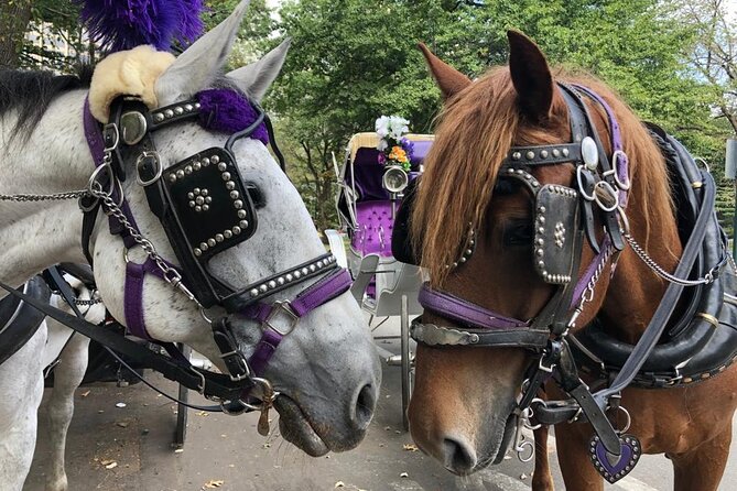 Full loop Private Horse Carriage Ride in Central Park 45 Minutes - Key Points