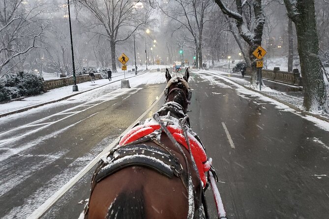 Full loop Private Horse Carriage Ride in Central Park 45 Minutes - The Route’s Highlights: Landmarks and Scenic Spots