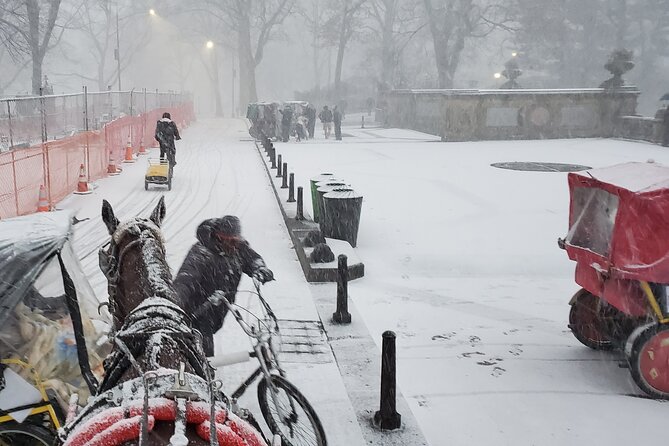 Full loop Private Horse Carriage Ride in Central Park 45 Minutes - The Experience with Guides and Photo Opportunities