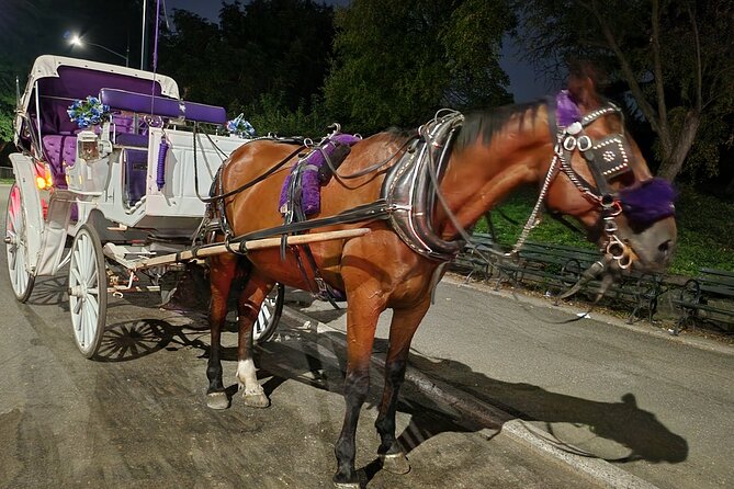Full loop Private Horse Carriage Ride in Central Park 45 Minutes - Who Will Enjoy This Tour the Most?