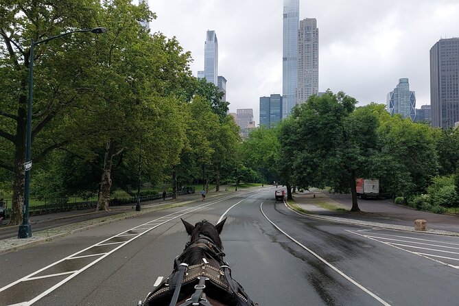 Full loop Private Horse Carriage Ride in Central Park 45 Minutes - Final Thoughts on the Central Park Horse Carriage Tour