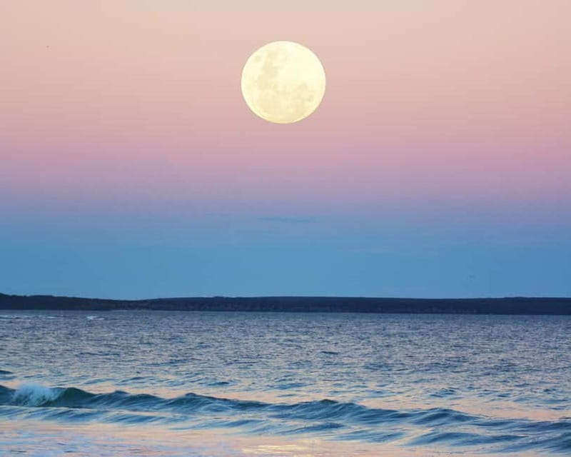 Full Moon Magic  2h Night Sailing in Sotogrande - Key Points