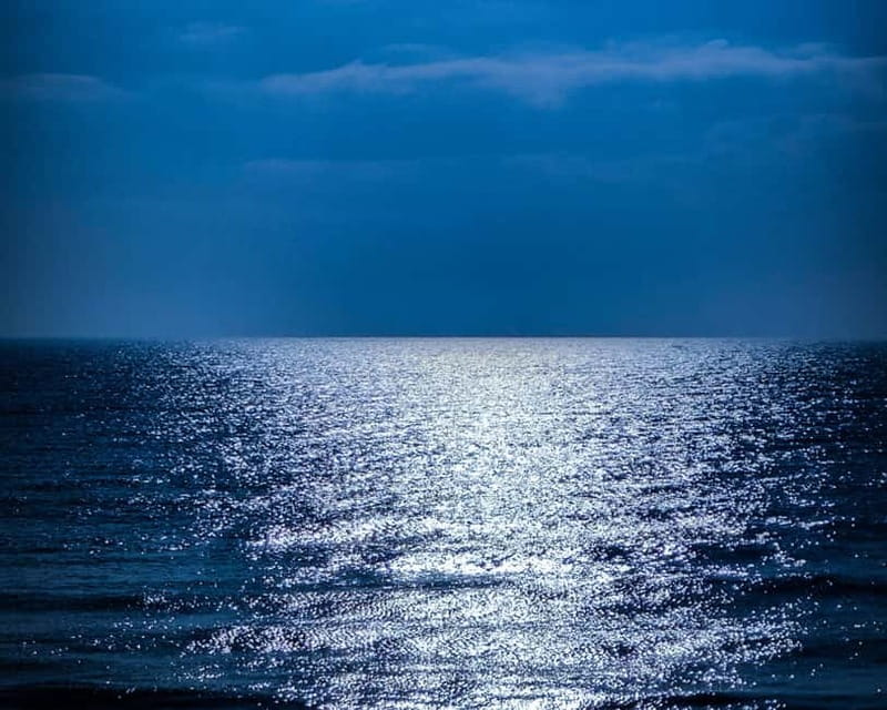 Full Moon Magic  2h Night Sailing in Sotogrande - Explore Sotogrande’s Scenic Waters and Marine Life