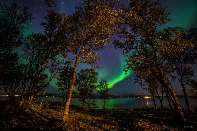 Full Night Magic of the Northern Lights in Tromso - Discover the Full Night Magic of the Northern Lights in Tromsø