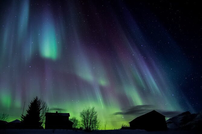 Full Night Magic of the Northern Lights in Tromso - What You Can Expect During the Tour