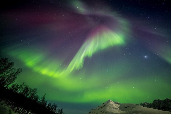 Full Night Magic of the Northern Lights in Tromso - Physical Requirements and Accessibility