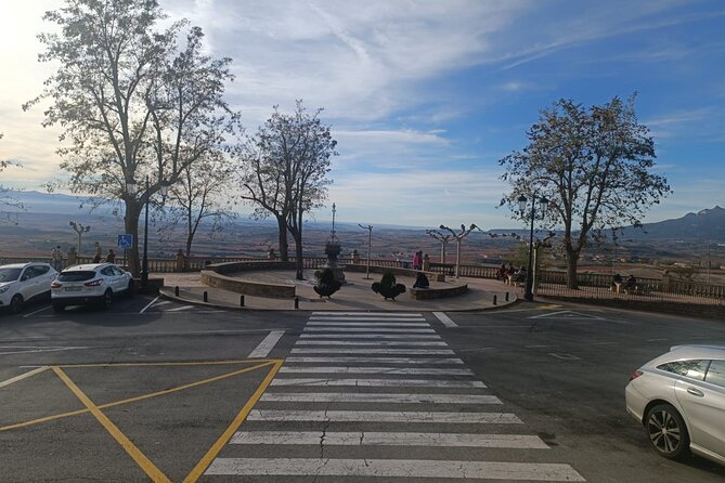 Full Rioja Wine Tour with Lunch from San Sebastian Private Tour - Guides and Customer Experience