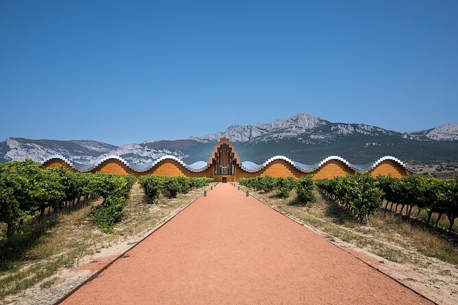 Full Rioja Wine Tour with Lunch from San Sebastian Private Tour - Pacing, Duration, and Flexibility