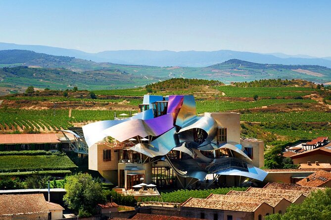 Full Rioja Wine Tour with Lunch from San Sebastian Private Tour - Who Should Book This Tour?