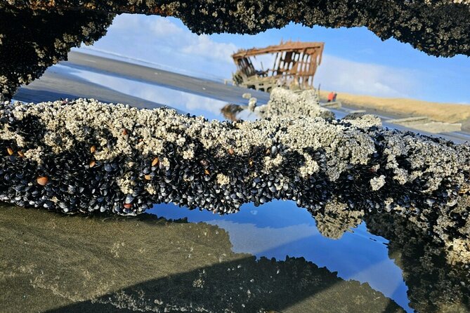 Full Tour of 4 coastal towns from Astoria to Seaside with lunch - Discover the Oregon Coast with a Full-Day Tour from Astoria to Seaside