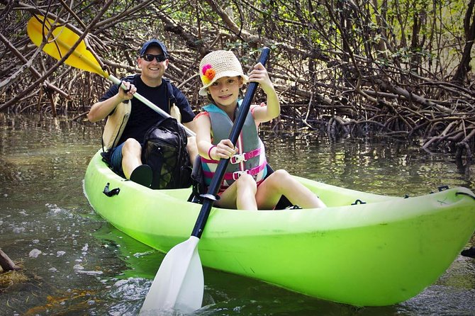 Fully Guided Kayaking Backwater Manatee and Dolphin Tour - Starting Point at A1A Outdoor Center