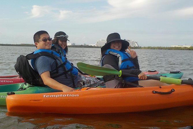 Fully Guided Kayaking Backwater Manatee and Dolphin Tour - Group Size and Booking Popularity