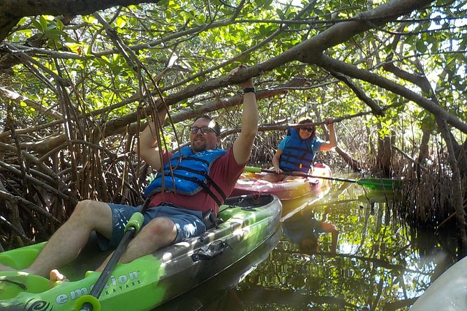 Fully Guided Kayaking Backwater Manatee and Dolphin Tour - Environmental Focus and Conservation Fees