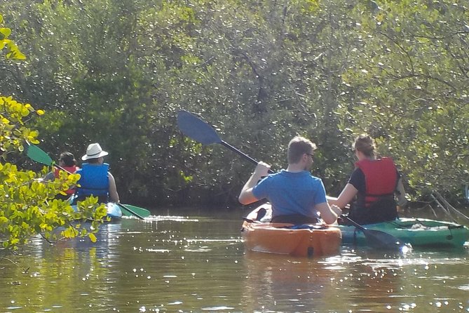 Fully Guided Kayaking Backwater Manatee and Dolphin Tour - Customer Feedback and Highlights