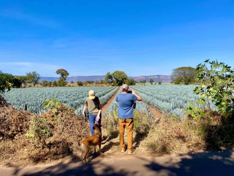 Fully-Private Half-Day Tequila Tour - Discover Authentic Tequila at a Family-Owned Distillery in Jalisco