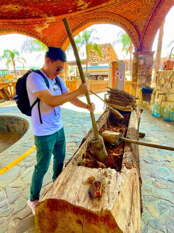 Fully-Private Half-Day Tequila Tour - Key Points