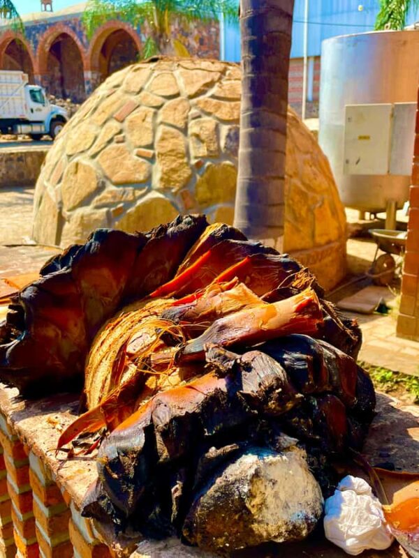 Fully-Private Half-Day Tequila Tour - Master the Art of Tequila Tasting with a Private Guide