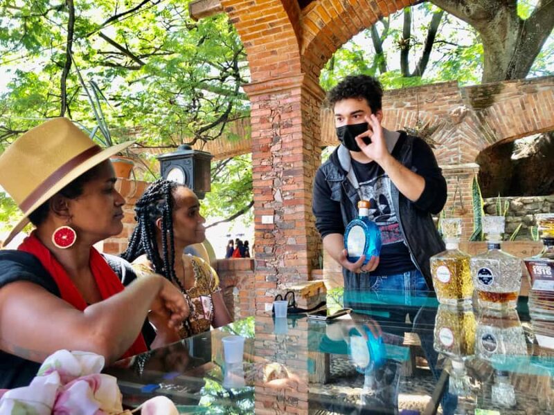 Fully-Private Half-Day Tequila Tour - Practical Details and Tour Logistics