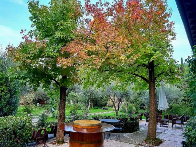 Fumane: Tasting of 5 Valpolicella and Amarone Vintage Wines - What Makes This Tour Stand Out in Valpolicella