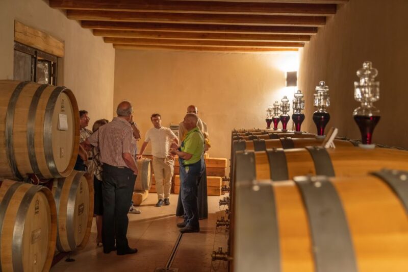 Fumane: Valpolicella Wine and Food Tasting with Farm Tour - Visiting the Family Cellar and Vinification Area