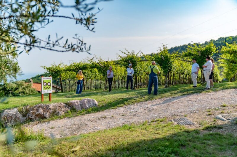 Fumane: Valpolicella Wine and Food Tasting with Farm Tour - Educational Focus and Guide Expertise