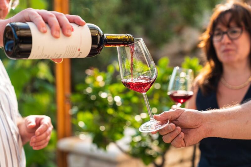 Fumane: Valpolicella Wine and Food Tasting with Farm Tour - Food, Drink, and Cultural Highlights