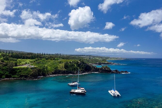 Fun & Affordable! West Maui Open-Air Sightseeing Tour! - Kapalua Resort: Luxurious Homes and Scenic Views