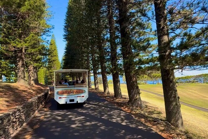 Fun & Affordable! West Maui Open-Air Sightseeing Tour! - Practical Tips for the Tour Experience
