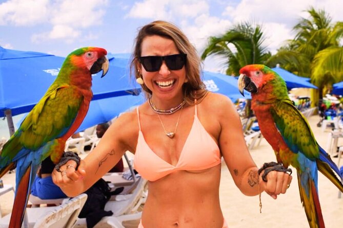 Fun and Relax Day Pass at San Francisco Beach Club - San Francisco Beach Club in Cozumel Offers a Mix of Fun and Relaxation