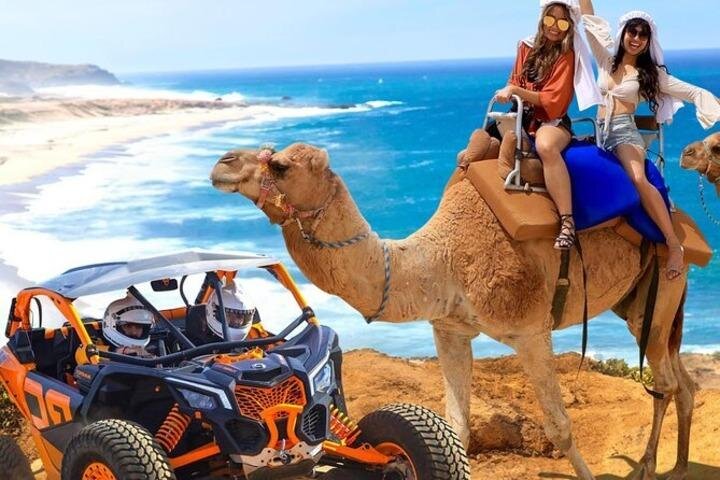 Fun Camel Ride and UTV COMBO with Tequila Tasting! - Safety, Restrictions, and Participant Requirements