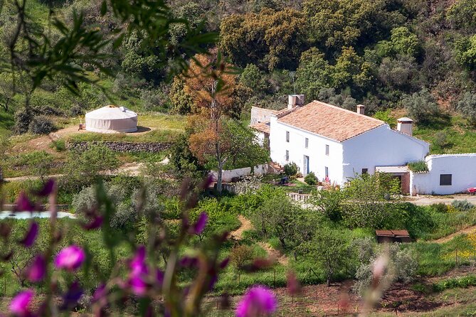 Fun Cooking Class - Tasty Andalusian Tapas - Key Points