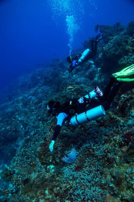 Fun Dive in Cozumel Dive Machine Experience - Onboard Comfort and Refreshments
