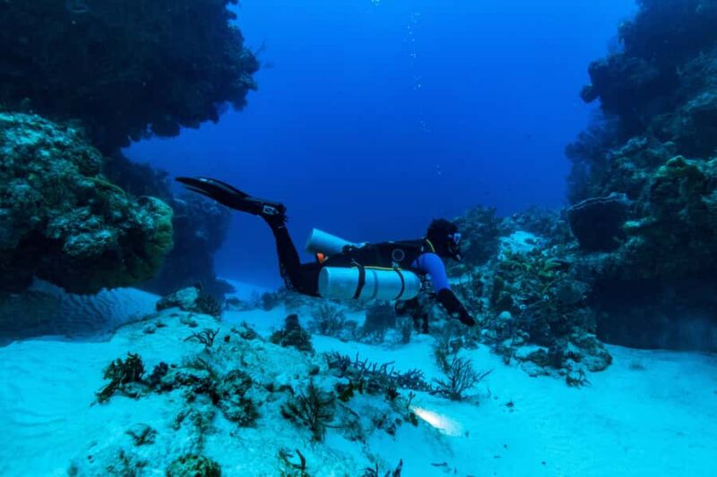 Fun Dive in Cozumel Dive Machine Experience - High-Quality Equipment and Adaptive Diving Programs