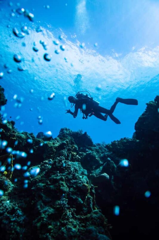 Fun Dive in Cozumel Dive Machine Experience - Eco-Responsibility and Sustainable Diving Practice