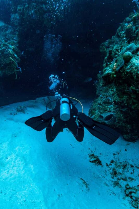 Fun Dive in Cozumel Dive Machine Experience - Logistics and Practical Details
