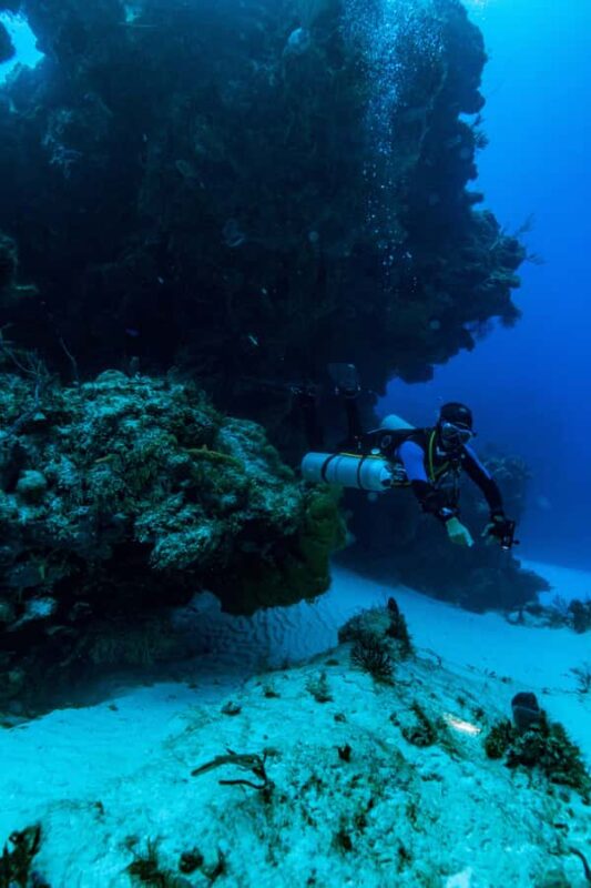 Fun Dive in Cozumel Dive Machine Experience - Who Should Consider This Tour