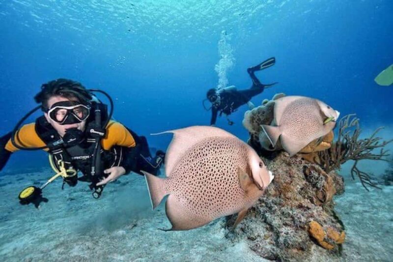 Fun Dive in Playa del Carmen Dive Machine Experience - Key Points