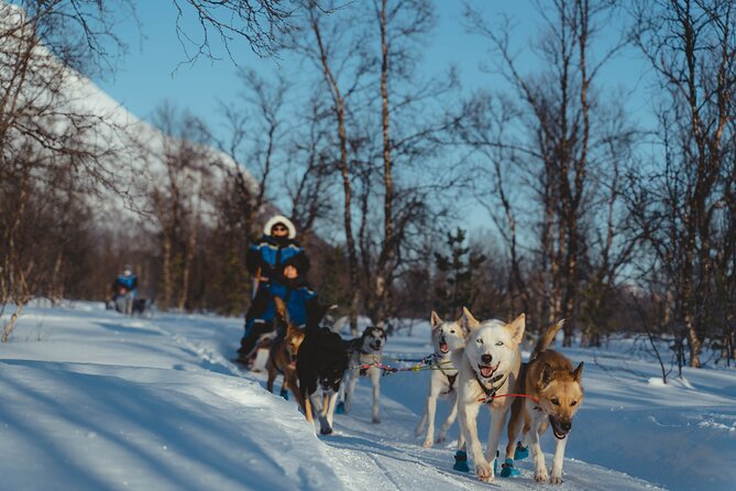 Fun & Easy Dog Sledding Adventure - Early Bird Tour - Comfort and Practical Gear for Cold Conditions
