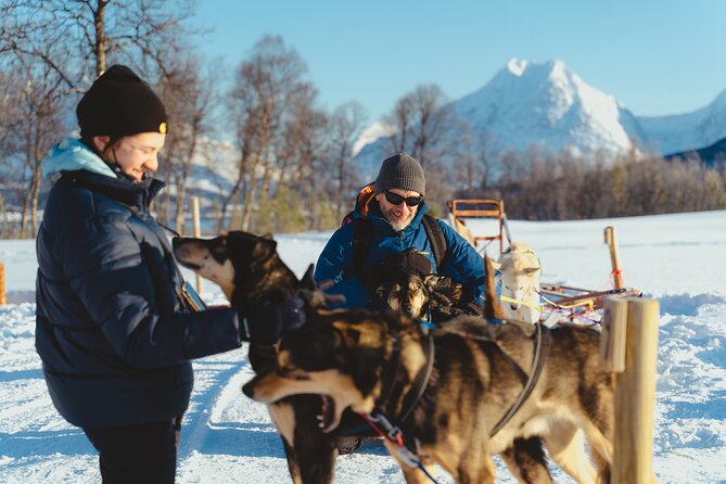 Fun & Easy Dog Sledding Adventure - Noon Tour - The Self-Drive Sled Experience