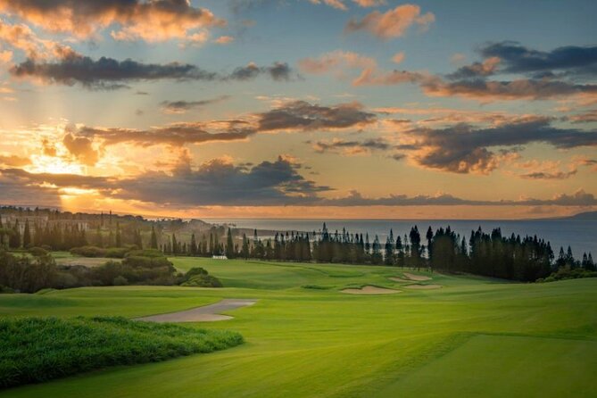 Fun! Open-Air Banyan Tree Forest & Blowhole Sight-Seeing MauiTour - The Role of Guides and Music in Enhancing the Experience