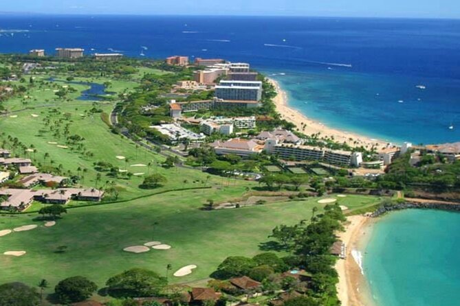 Fun! Open-Air Banyan Tree Forest & Blowhole Sight-Seeing MauiTour - Practical Details and Tour Logistics